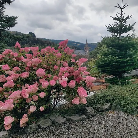 Prázdninový dům Jagdhaus Holtebock *