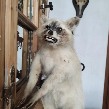 Prázdninový dům Jagdhaus Holtebock Winterberg