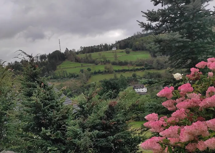 Jagdhaus Holtebock * Winterberg