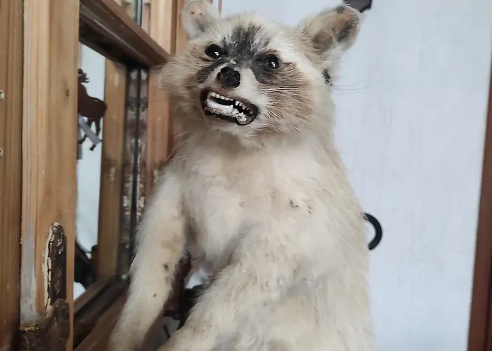 Feriehus Jagdhaus Holtebock Winterberg