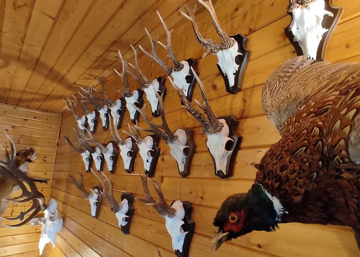 Jagdhaus Holtebock *